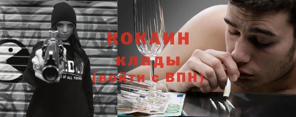 трава Бородино