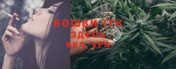 ALPHA PVP Богородицк