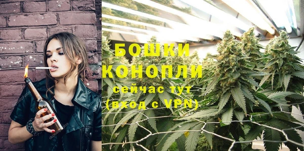 трава Бородино