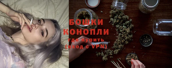 мескалин Богданович
