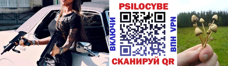 закладки  Симферополь  Галлюциногенные грибы Cubensis 